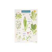 Field Studies Council Playing Field Plants (bok, eng)