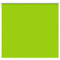 vidaXL Rullgardin mörkläggning blad grön 165x150 cm tyg bredd 161,6 cm