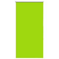 vidaXL Rullgardin mörkläggning blad grön 65x175 cm tyg bredd 60,7 cm