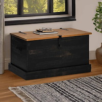 vidaXL Förvaringskista HALDEN svart 91x48x47 cm massiv trä furu