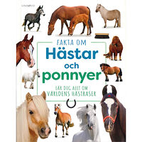 Lind & Co Fakta om hästar och ponnyer : Lär dig allt om världens hästraser (inbunden)