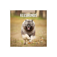 Red Robin Publishing Ltd. Keeshonds 2025 Square Wall Calendar (häftad, eng)