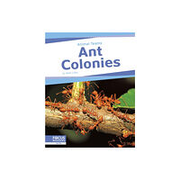 North Star Editions Ant Colonies (häftad, eng)