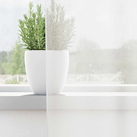 vidaXL Voile gardiner med stångfickor 2 st vit