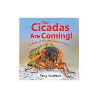 Doug Wechsler The Cicadas Are Coming! (inbunden, eng)