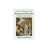 Henricus Hermann und Dorothea (Großdruck) (häftad, ger)