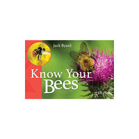 Fox Chapel Publishers International Know Your Bees (häftad, eng)