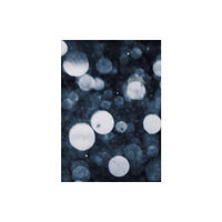 Photo Editions Ltd Shimmers (häftad, eng)