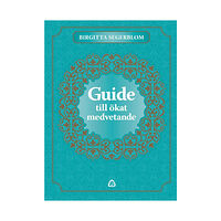Birgitta Segerblom Guide till ökat medvetande (bok, kartonnage)