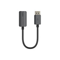 Belkin Belkin videokort - DisplayPort / HDMI - 22.05 cm