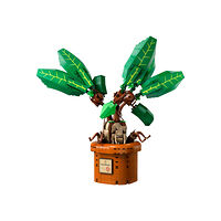 LEGO LEGO Harry Potter 76433 - Mandrake - byggsats