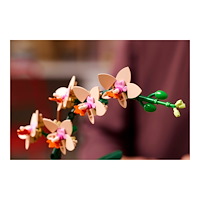 LEGO LEGO The Botanical Collection 10343 - Miniorkidé - byggsats