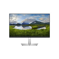 DELL Dell P2423DE - LED-skärm - QHD - 23.8" - TAA-kompatibel