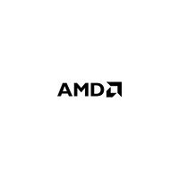 AMD AMD Ryzen 3 4100 / 3.8 GHz processor - Box