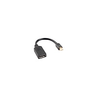 LANBERG Lanberg DisplayPort-adapter - 12 cm
