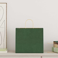 vidaXL Papperspåsar 250 st med handtag grön 32x22x28 cm