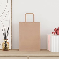 vidaXL Papperspåsar 50 st med handtag brun 21x11x28 cm
