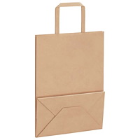 vidaXL Papperspåsar 50 st med handtag brun 21x11x28 cm