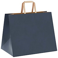 vidaXL Papperspåsar 50 st med handtag blå 32x22x24 cm