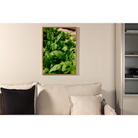 Venture Home Gree leaf Poster