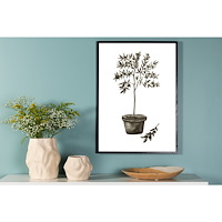 Venture Home Olive Poster