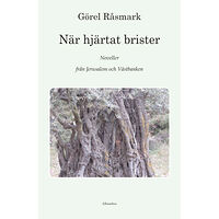 Görel Råsmark När hjärtat brister : noveller från Jerusalem och Västbanken (bok, danskt band)