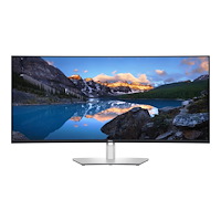DELL Dell UltraSharp U4021QW - LED-skärm - böjd - 39.7"