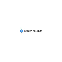 Konica Minolta Konica Minolta TNP53 - svart - original - tonerkassett