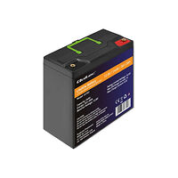 Qoltec Qoltec - batteri - 12,8V, BMS - LiFePO4 - 24 Ah - 307.2 Wh