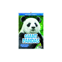 North Star Editions Giant Pandas (häftad, eng)