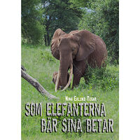 Nina Eklund Tegar Som elefanterna bär sina betar (inbunden)