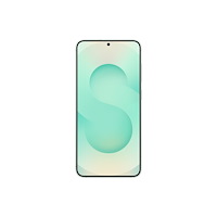 SAMSUNG Samsung Galaxy S25 - mint - 5G pekskärmsmobil - 128 GB - GSM