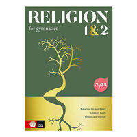 Katarina Lycken Rüter Religion för gymnasiet nivå 1&2 (häftad)
