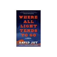 Putnam Publishing Group,U.S. Where All Light Tends To Go (häftad, eng)