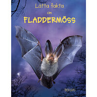 Megan Cullis Lätta fakta om fladdermöss (inbunden)