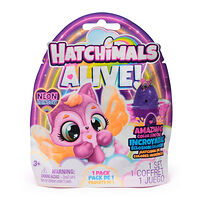 Hatchimals Hatchimals - Alive Neon Rainbow 1 Pack Asst. - (6072752)