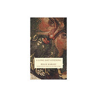 City Lights Books A Long Day's Evening (häftad, eng)