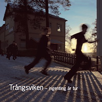 Karin Johansson Trångsviken : ingenting är tur (inbunden)