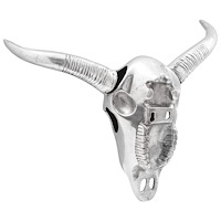 vidaXL Väggmonterad Bisonhorn Silver 34x13x53 cm Aluminium