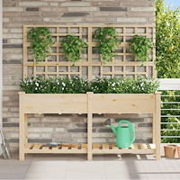 vidaXL Trädgårdsplanterare med Spaljé & Hylla 161x43x152 cm Massivt Tallträ