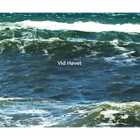 Themis Förlag Vid Havet (inbunden)