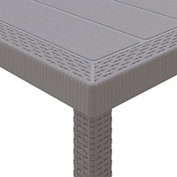 vidaXL 11-delars trädgårdsmatsalsset med kuddar ljust grått poly rattan