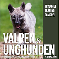 Peter Ekeström Valpen & unghunden : teamwork för en följsam och trygg hund (inbunden)