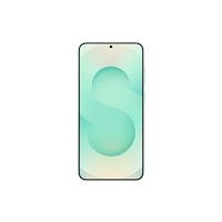 SAMSUNG Samsung Galaxy S25+ - mint - 5G pekskärmsmobil - 256 GB - GSM