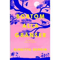 Birgitta Bergin Bortom alla gränser (pocket)