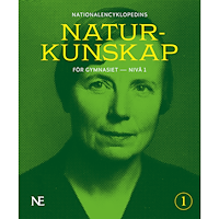 Rikard Ask NE Naturkunskap för gymnasiet - nivå 1 (bok, flexband)
