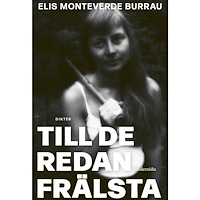 Modernista Till de redan frälsta (bok, kartonnage)