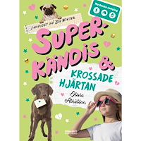 Ordalaget Bokförlag Superkändis och krossade hjärtan (bok, kartonnage)