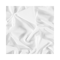 NANLITE Nanlite Replacment SB-PR-150-Q Exterior Standard Diffuser