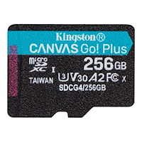 Kingston Kingston Canvas Go! Plus - flash-minneskort - 256 GB - mikroSDXC UHS-I